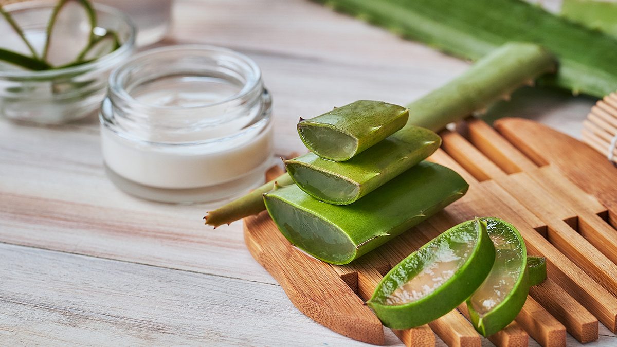 Tudo o que um creme hidratante de aloe vera pode fazer por ti 1 Tudo o que um creme hidratante de aloe vera pode fazer por ti