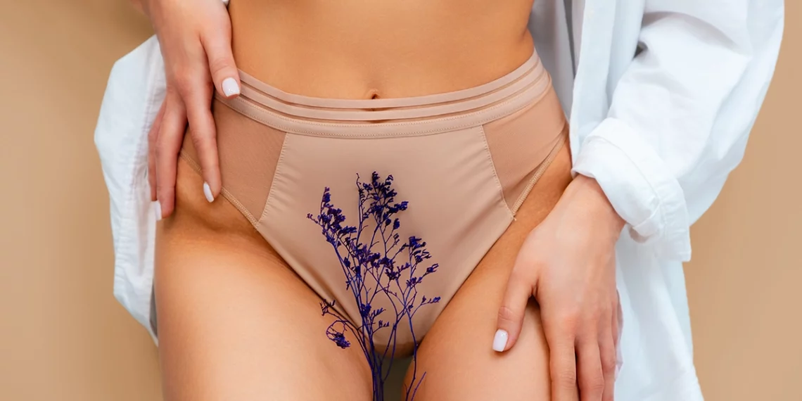 Depilação íntima: fica com a que combina contigo (ou passa!) 1 TIPOS DEPILACION FEM