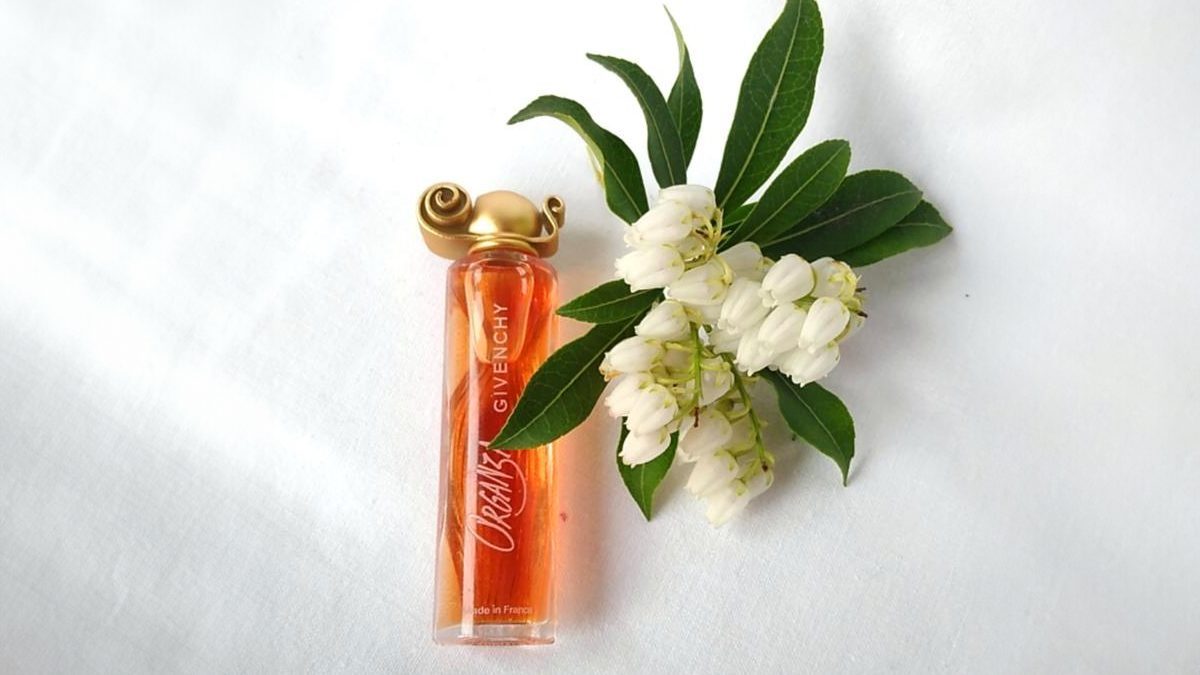 Os 12 perfumes com feromonas mais recomendados por especialistas