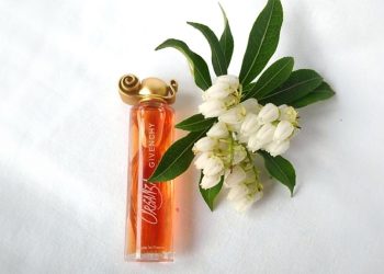 SEDUCCION PERFUMES 1200x675 1