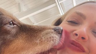 Todo lo que tienes que saber si quieres comprarle a tu mascota una colonia para perros