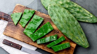 Beneficios del extracto de cactus para la piel