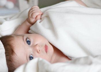 Estas son las 15 mejores papillas para bebés según su edad
