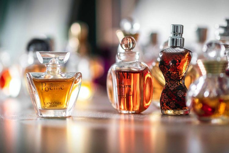 Te contamos qué son las familias olfativas y cómo puedes escoger tu perfume a medida.