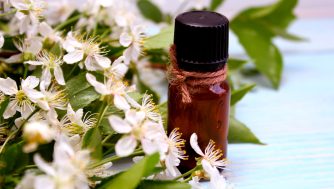 Aceite de manuka: qué es y para qué sirve