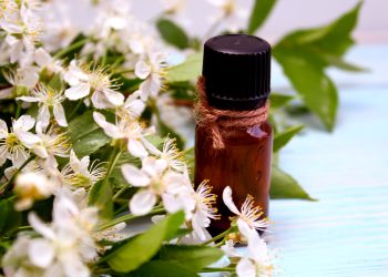 Te contamos cómo usar el aceite de manuka