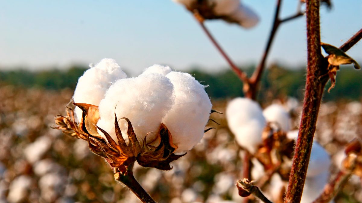 Kubwipes lo tiene claro: esta es la rutina desmaquillante con toallitas naturales que necesitas