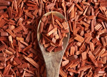 Te contamos los beneficios del aceite de sándalo