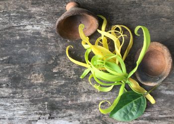 Te contamos los beneficios del aceite de ylang-ylang