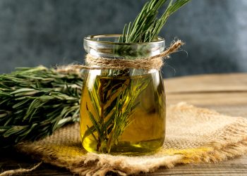 Descubre los enormes beneficios del aceite de romero