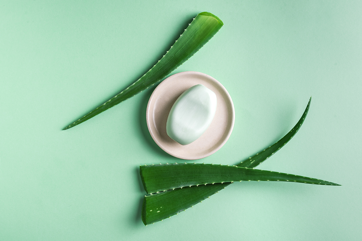 Paso a paso para hacer jabn casero de aloe vera