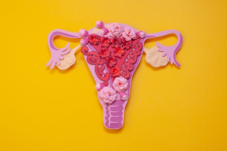 qué es el ciclo menstrual