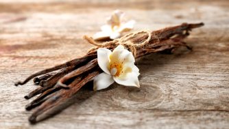 Descubre el encanto de las fragancias de benjuí y vainilla con Vicky Martín Berrocal