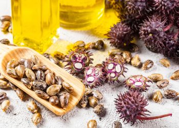 Te contamos cómo incorporar el aceite de ricino en tu rutina de cuidado facial.
