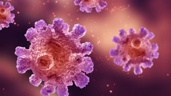 Células zombie: qué son y cómo nos hacen envejecer