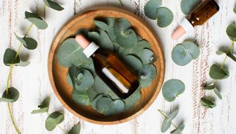 Eucalipto: todos los beneficios y propiedades de esta planta