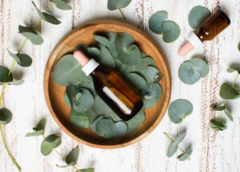 Todo lo que el eucalipto puede hacer por ti.