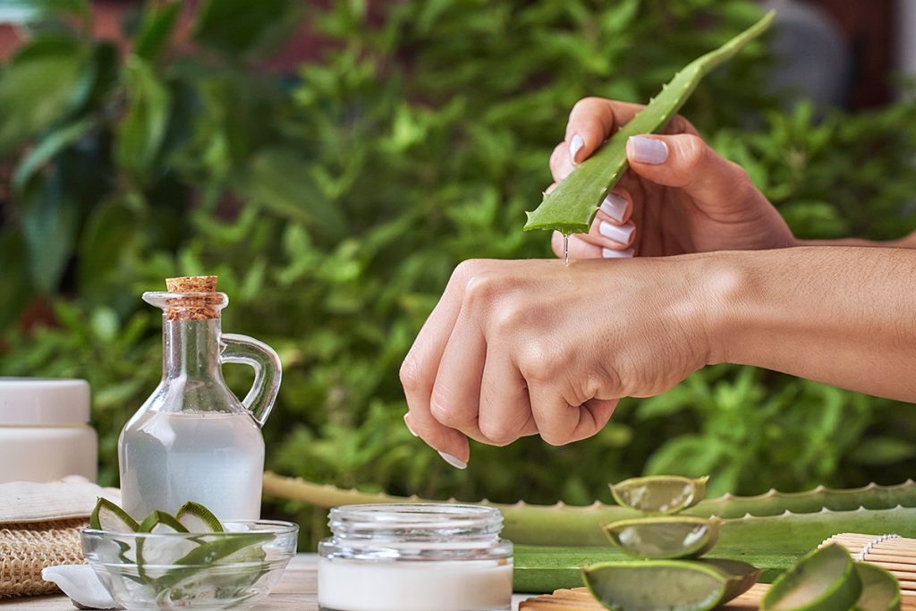 Te contamos por qué debes usar aloe vera en invierno.
