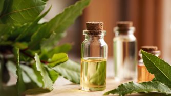 Los 5 mejores remedios naturales que tienen el laurel como principal ingrediente